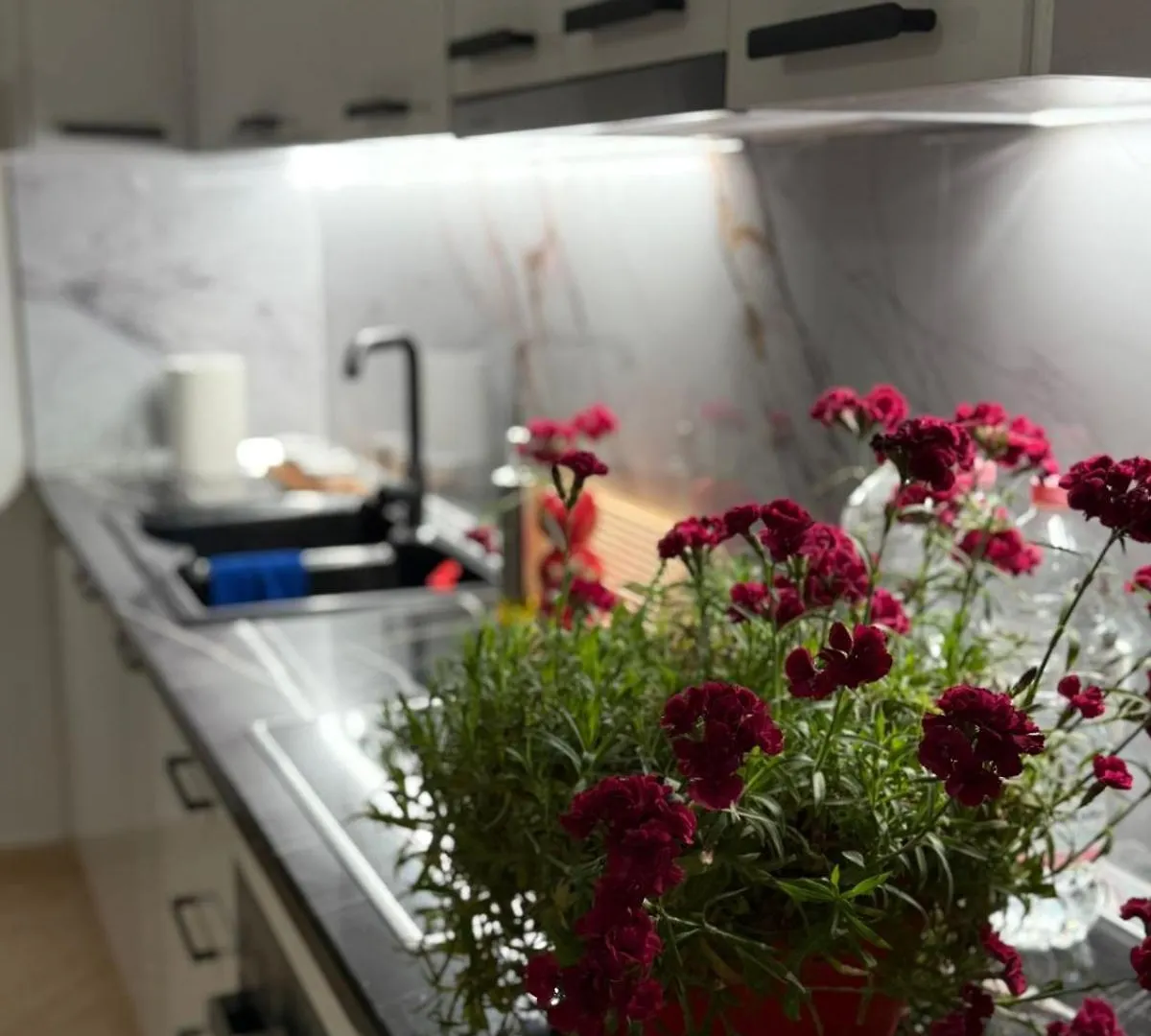 Casa Mare Διαμέρισμα Vlorë